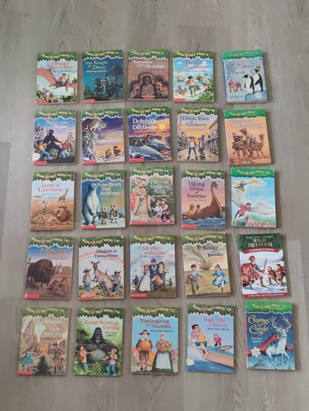 Lot Of 25 Magic Tree House Books Vintage By Mary Pope Osborne Y2K
